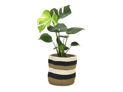 Kenyan Planter Basket - Natural #10